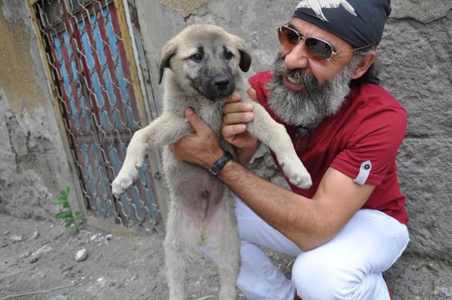 HARUN CİCİ, TORTUM ALAPINAR FESTİVALİ