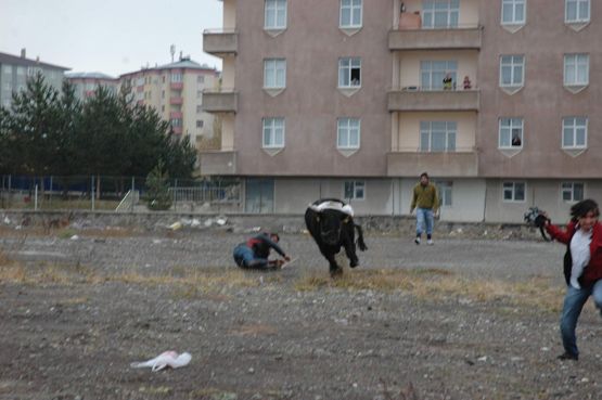 KURBAN TERÖR ESTİRDİ