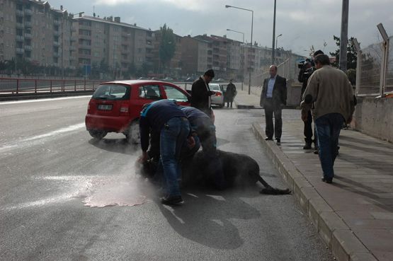 KURBAN TERÖR ESTİRDİ