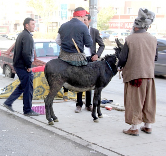 ERZURUM'DA DEVE OYUNU