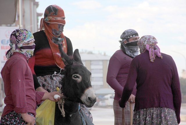 ERZURUM'DA DEVE OYUNU