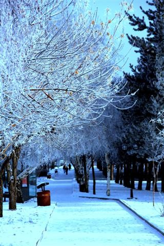 ERZURUM'DAN KARTPOSTALLIK GÖRÜNTÜLER