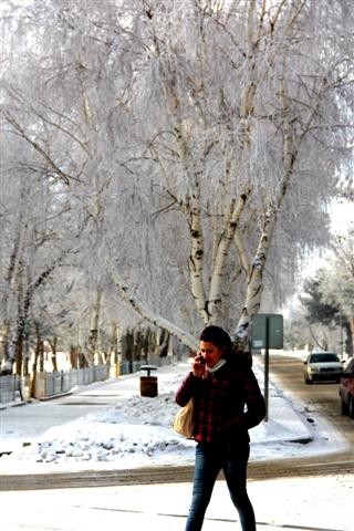 ERZURUM'DAN KARTPOSTALLIK GÖRÜNTÜLER