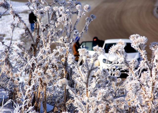 ERZURUM'DAN KARTPOSTALLIK GÖRÜNTÜLER