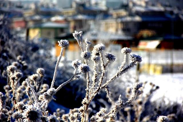 ERZURUM'DAN KARTPOSTALLIK GÖRÜNTÜLER