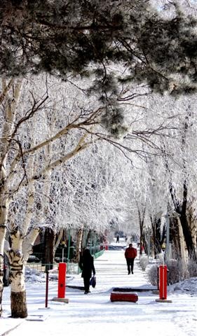 ERZURUM'DAN KARTPOSTALLIK GÖRÜNTÜLER