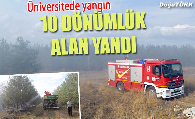 Üniversite yerleşkesindeki ormanlık alanda yangın