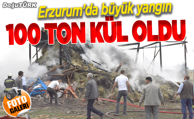 Besicinin 100 ton ot ve samanı yandı