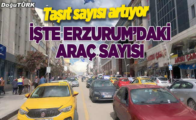 Erzurum’da taşıt sayısı arttı