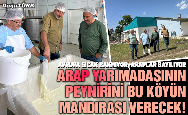 Arap yarımadasının peynirini bu köyün mandırası verecek!