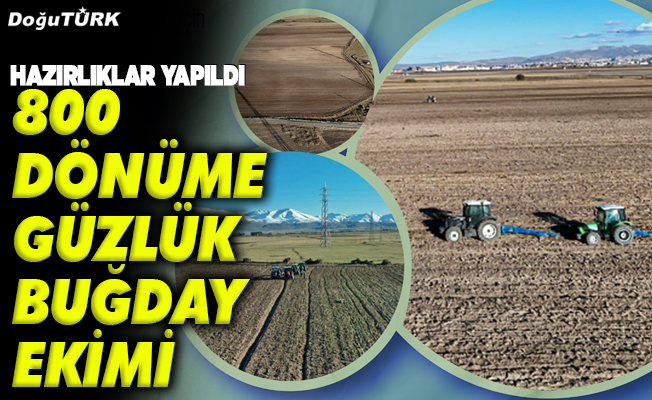 800 dönüme güzlük buğday ekimi