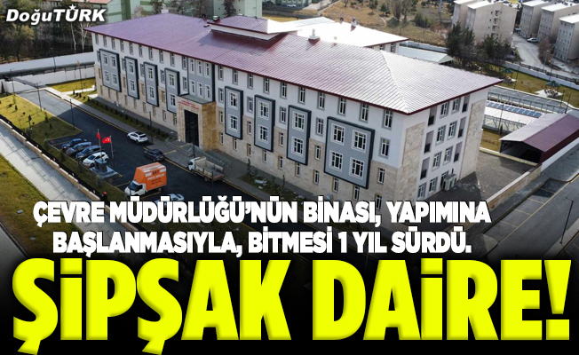 Şipşak daire!