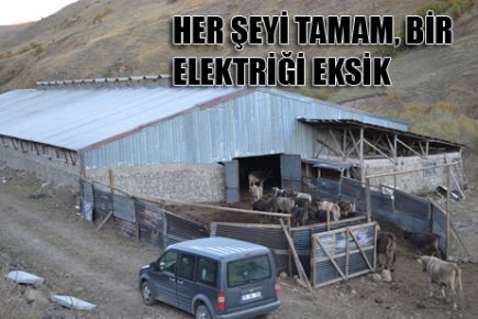 HER ŞEYİ TAMAM, BİR ELEKTRİĞİ EKSİK 