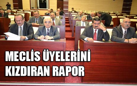 MECLİS ÜYELERİNİ KIZDIRAN RAPOR