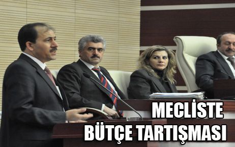 MECLİSTE BÜTÇE TARTIŞMASI