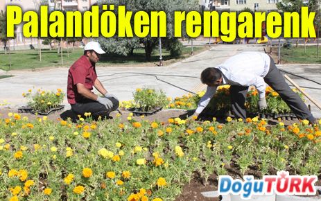 PALANDÖKEN İLÇESİ RENGÂRENK