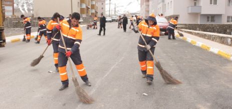 PALANDÖKENDE BAHAR TEMİZLİĞİ