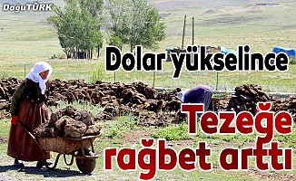 Kırsalda tezek geleneği