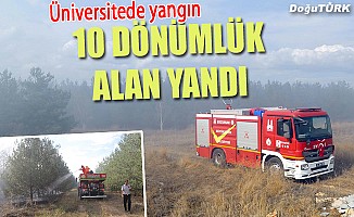 Üniversite yerleşkesindeki ormanlık alanda yangın