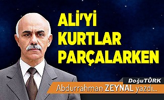 ALİ'Yİ KURTLAR PARÇALARKEN