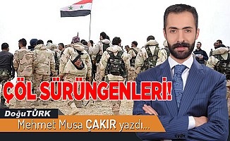 ÇÖL SÜRÜNGENLERİ!