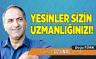 YESİNLER SİZİN UZMANLIĞINIZI!