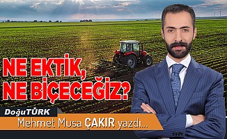 NE EKTİK, NE BİÇECEĞİZ?