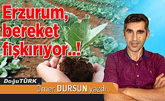 Erzurum, bereket fışkırıyor..!