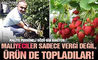 Maliyeciler sadece vergi değil, ürün de topladılar!