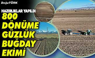 800 dönüme güzlük buğday ekimi