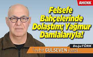 Felsefe Bahçelerinde Dolaştım; Yağmur Damlalarıyla!