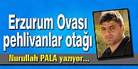 Erzurum Ovası pehlivanlar otağı