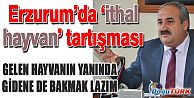 ERZURUM’DA 626 BİN DAMIZLIK KÜÇÜKBAŞ, 500 BİN DE KUZU VAR